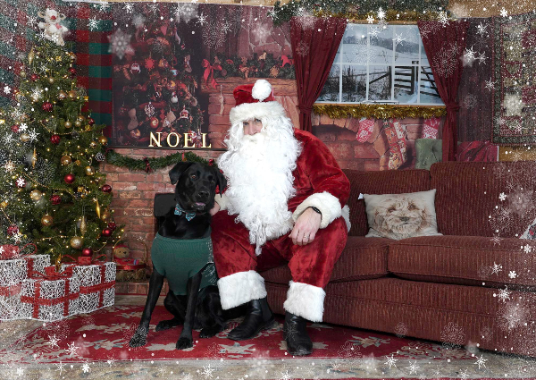 Santa Paws Grotto